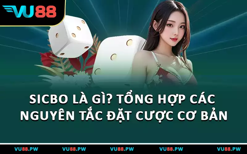Sicbo Là Gì? Tổng Hợp Các Nguyên Tắc Đặt Cược Cơ Bản