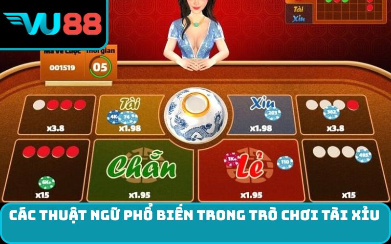 Các thuật ngữ phổ biến trong trò chơi tài xỉu