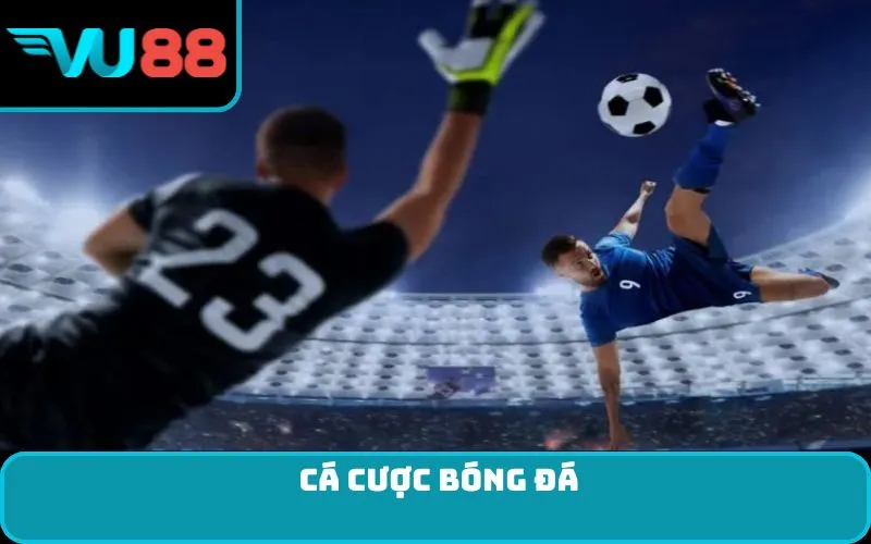 cá cược bóng đá