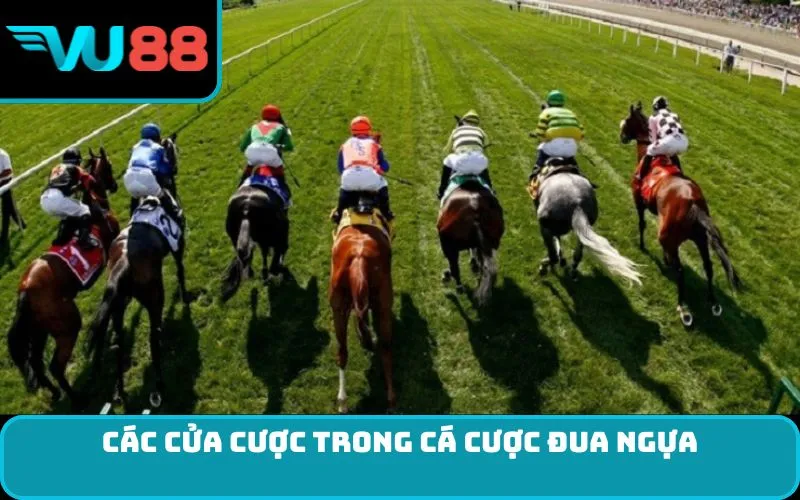 Các cửa cược trong cá cược đua ngựa
