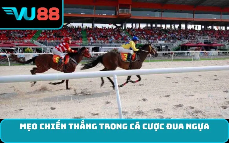 Mẹo chiến thắng trong Cá Cược Đua Ngựa
