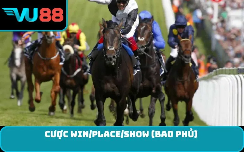 Cược Win/Place/Show (Bao Phủ)