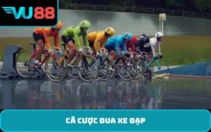 cá cược đua xe đạp