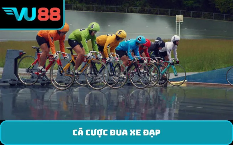 cá cược đua xe đạp