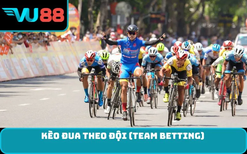 Kèo Đua Theo Đội (Team Betting)