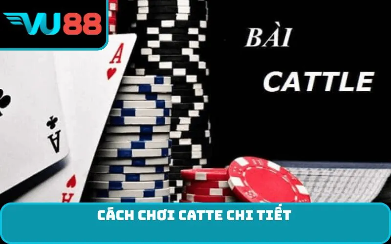 Cách chơi Catte chi tiết