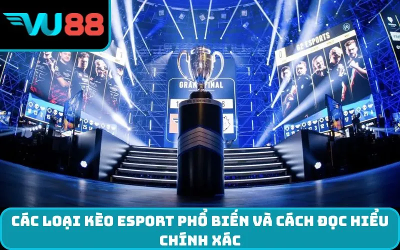 Các loại kèo Esport phổ biến và cách đọc hiểu chính xác