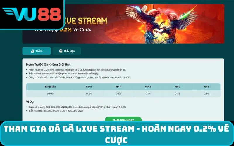 Tham gia đá gà live stream - hoàn ngay 0.2% vé cược