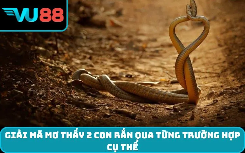 Giải mã Mơ thấy 2 con rắn qua từng trường hợp cụ thể