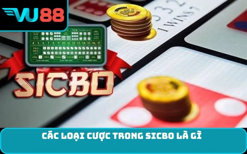 Các loại cược trong Sicbo là gì